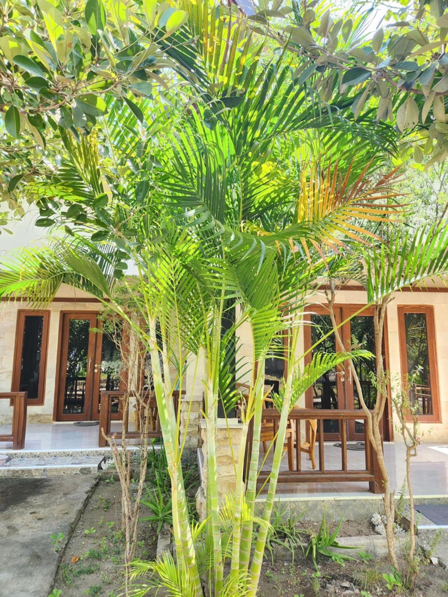 Run Gilis Apartment Gili Meno Exterior photo